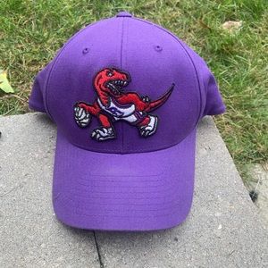 Toronto Raptors Snap Back
